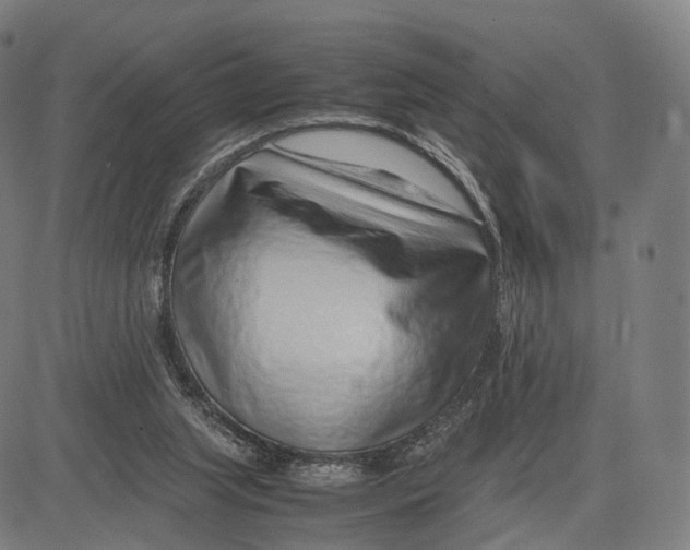 X0000083660063200703121822