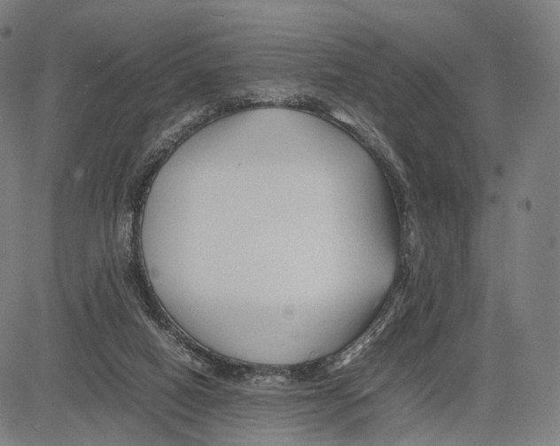 X0000083660066200703121822