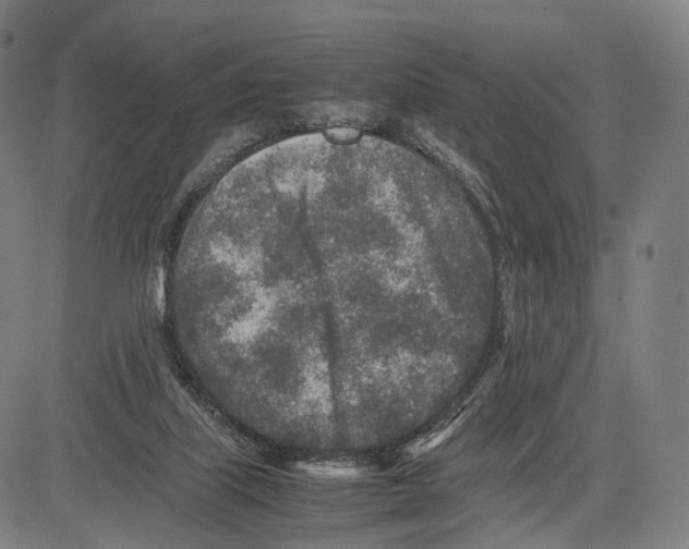 X0000083660067200703121822