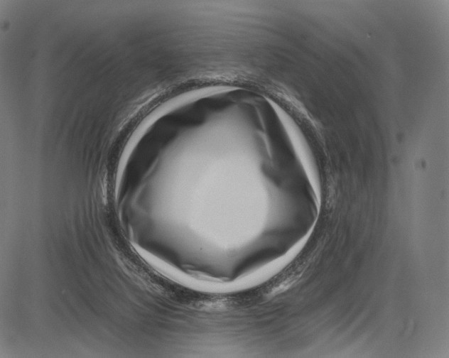 X0000083660068200703121822