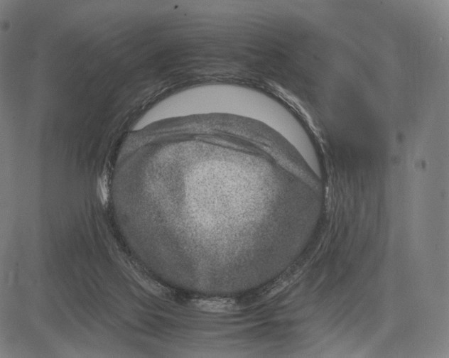 X0000083660069200703121822