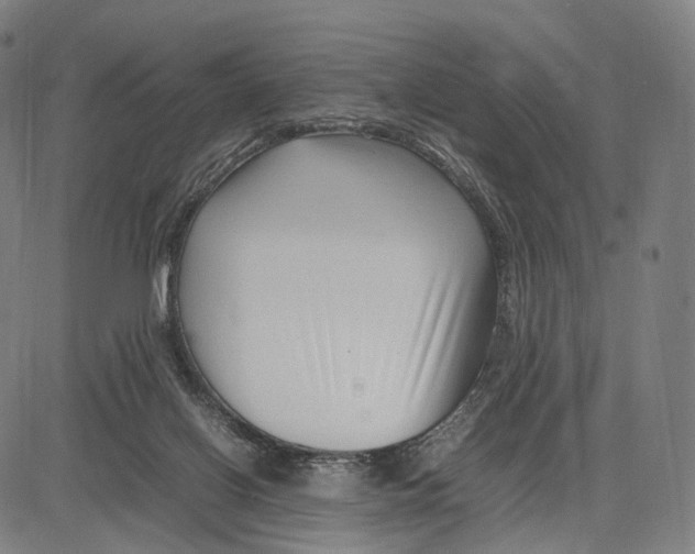 X0000083660070200703121822