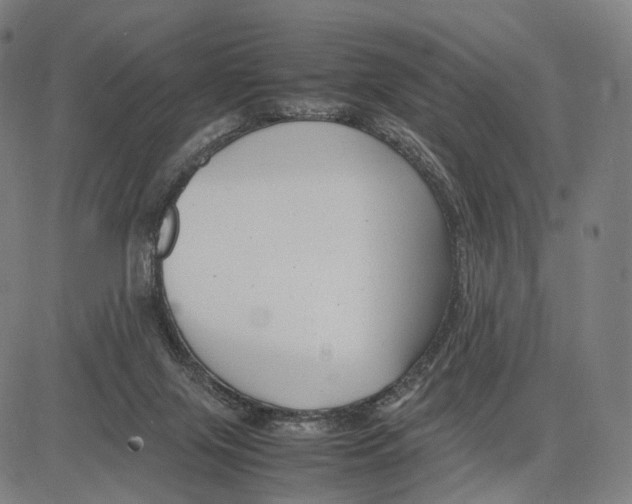 X0000083660071200703121822