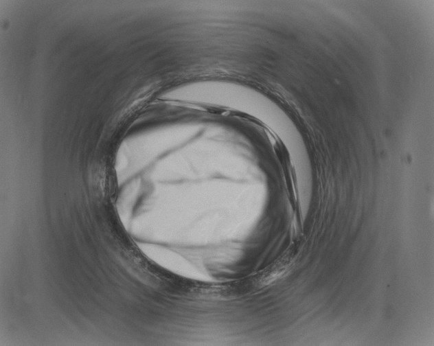 X0000083660072200703121822