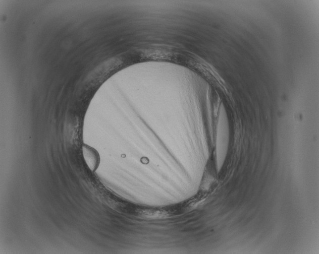 X0000083660073200703121822