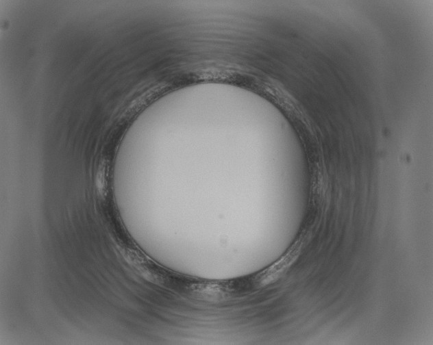 X0000083660074200703121822