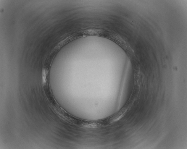 X0000083660075200703121822