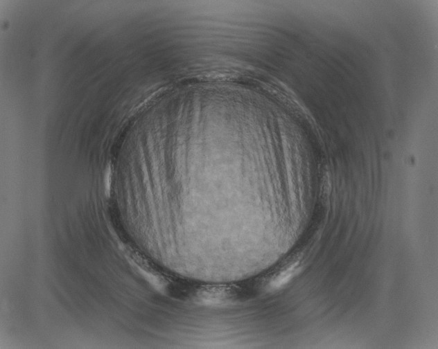 X0000083660076200703121822