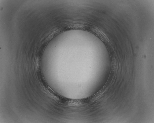 X0000083660077200703121822