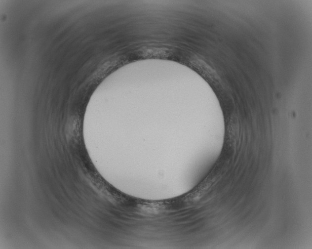 X0000083660079200703121822