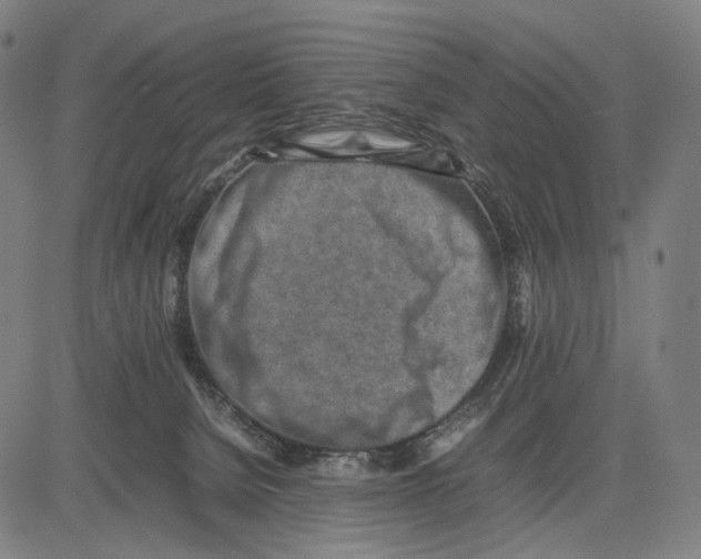 X0000083660080200703121822