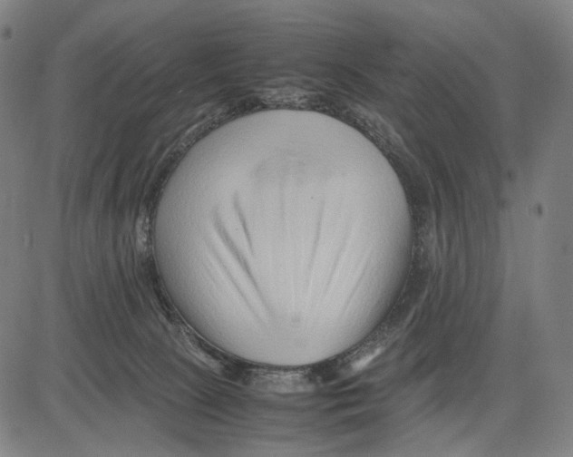 X0000083660081200703121822