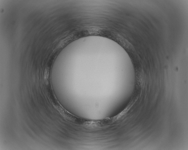 X0000083660082200703121822