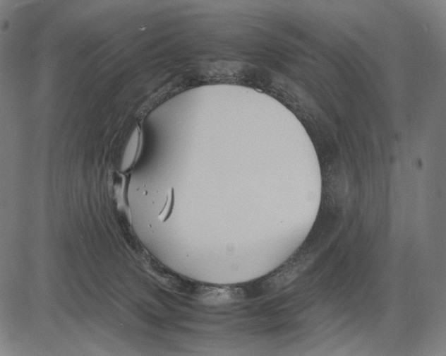 X0000083660083200703121822