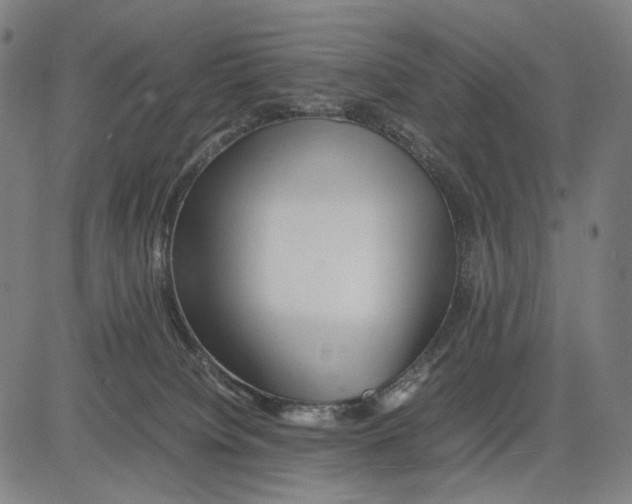 X0000083660084200703121822