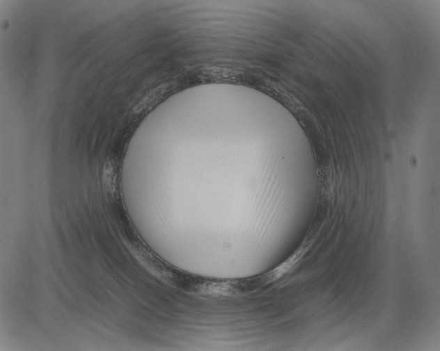 X0000083660086200703121822