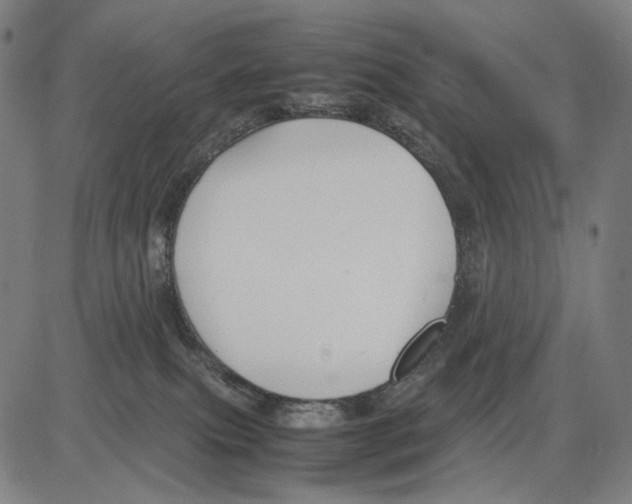 X0000083660087200703121822