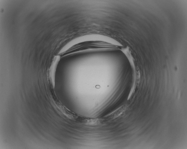 X0000083660088200703121822