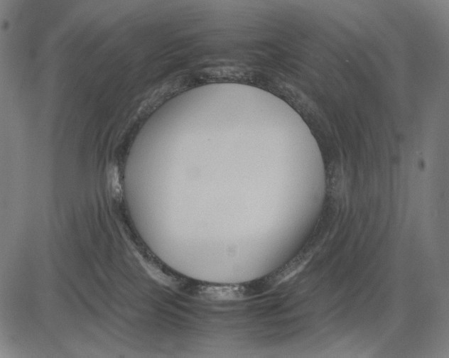 X0000083660089200703121822