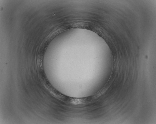 X0000083660091200703121822