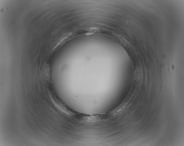 X0000083660092200703121823