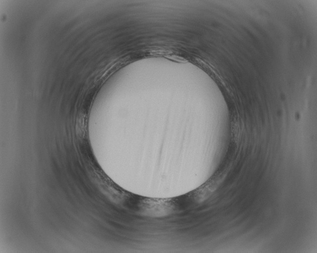 X0000083660093200703121823