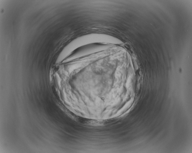 X0000083660094200703121823