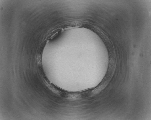 X0000083660096200703121823