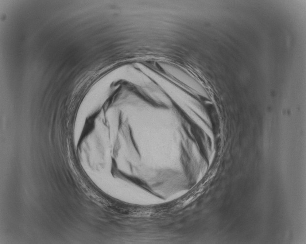 X0000083660097200703121822