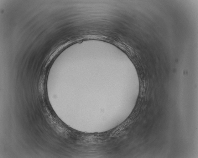 X0000083660098200703121822