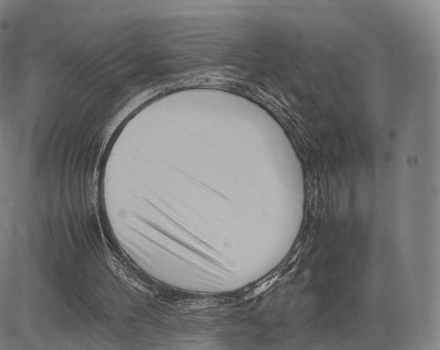 X0000083660100200703121822