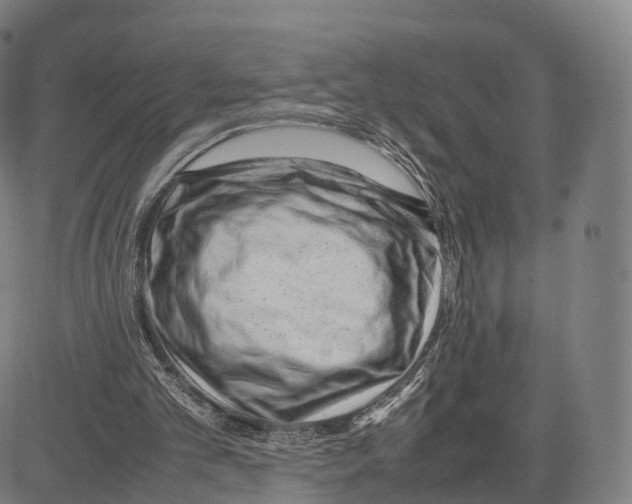 X0000083660101200703121822