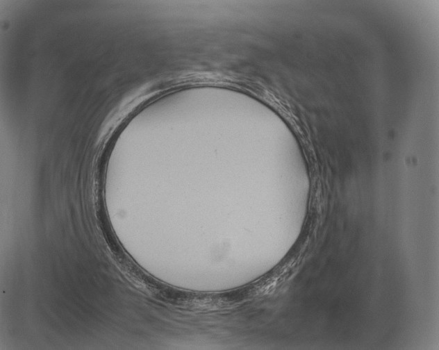 X0000083660103200703121822