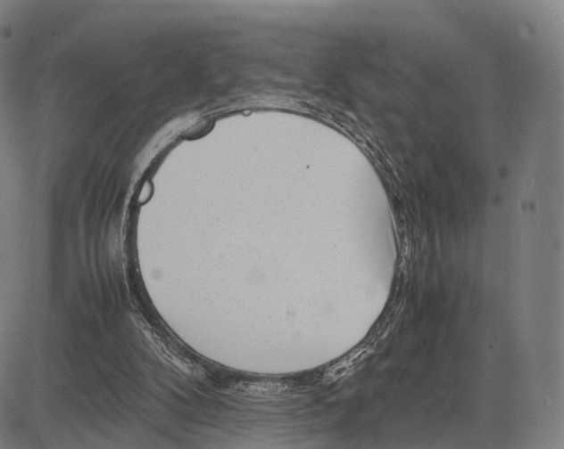 X0000083660104200703121822