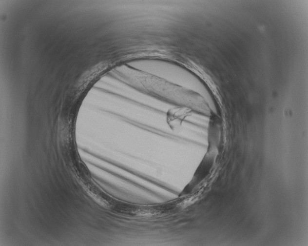 X0000083660105200703121822