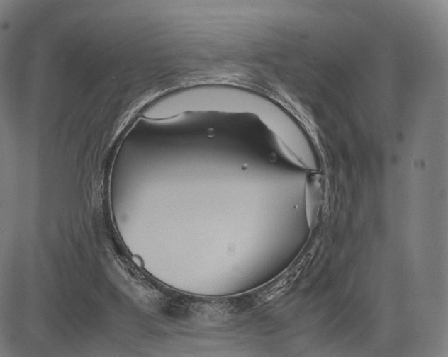 X0000083660107200703121822