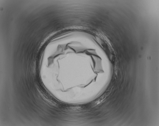 X0000083660108200703121822