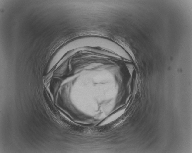 X0000083660109200703121822