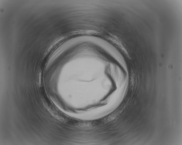 X0000083660110200703121822