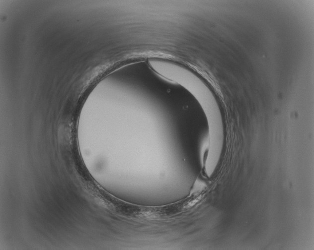 X0000083660111200703121822