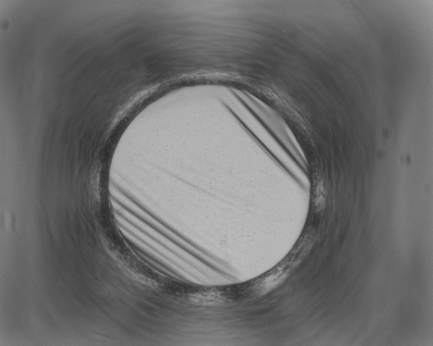 X0000083660112200703121821