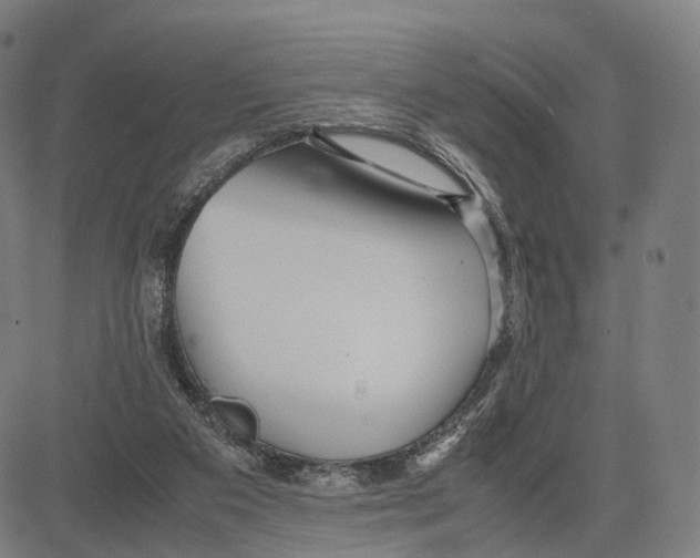 X0000083660113200703121821