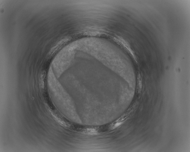 X0000083660114200703121821