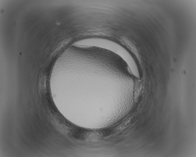 X0000083660115200703121821