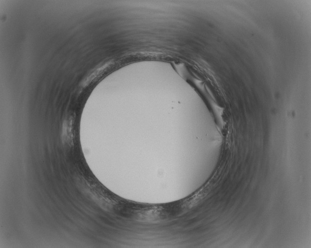 X0000083660116200703121821