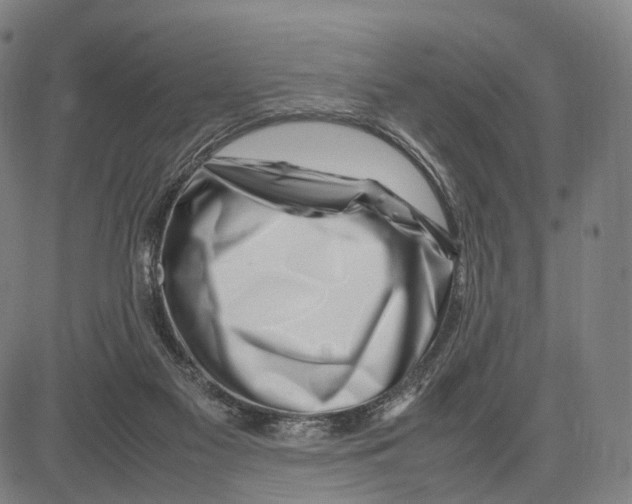 X0000083660117200703121821