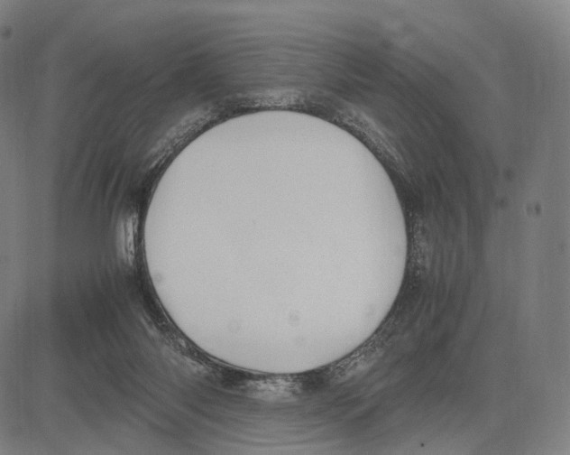 X0000083660118200703121821