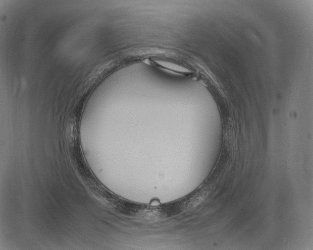 X0000083660119200703121821