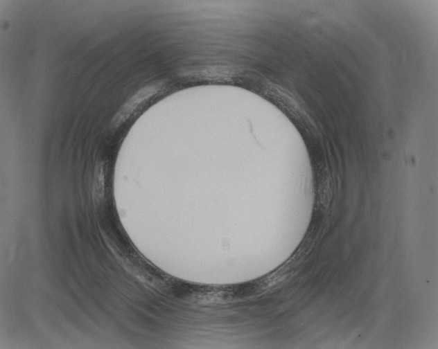 X0000083660120200703121821