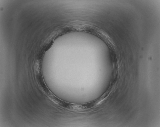 X0000083660121200703121821